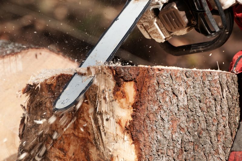 Dead Tree Removal in Allentown, PA