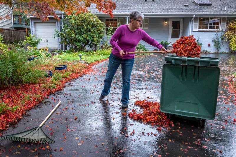 Leaves Gathering Along Driveways