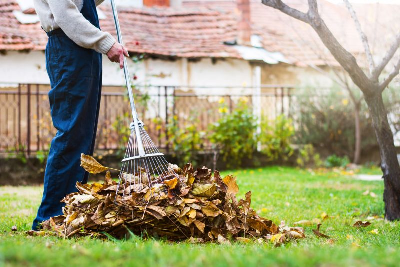 Leaf Raking Technique