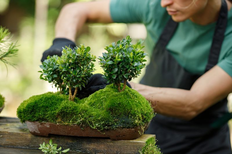 Garden Centers with Bonsai Services